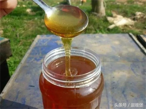 避难堡的重耳枣花开了，听当地蜂农讲解枣花蜜和槐花蜜的区别