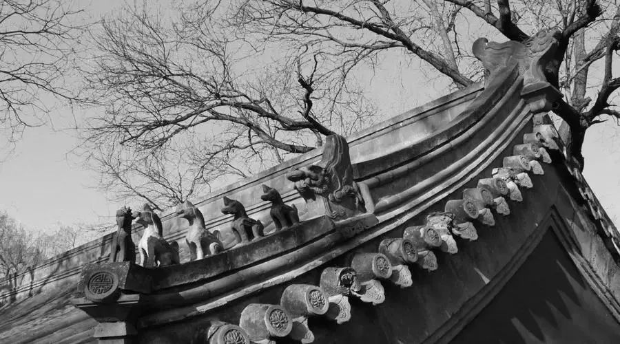 必背超长十大经典古文,公认最难背的十篇古文你认同吗