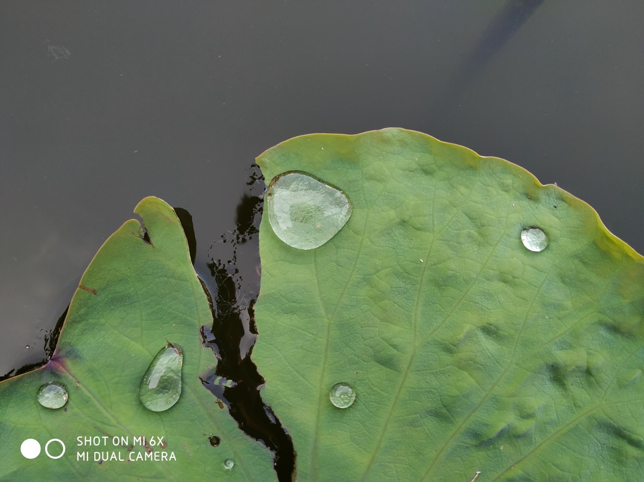 小米6x拍照设置技巧,小米6x拍照好还是红米k40拍照好