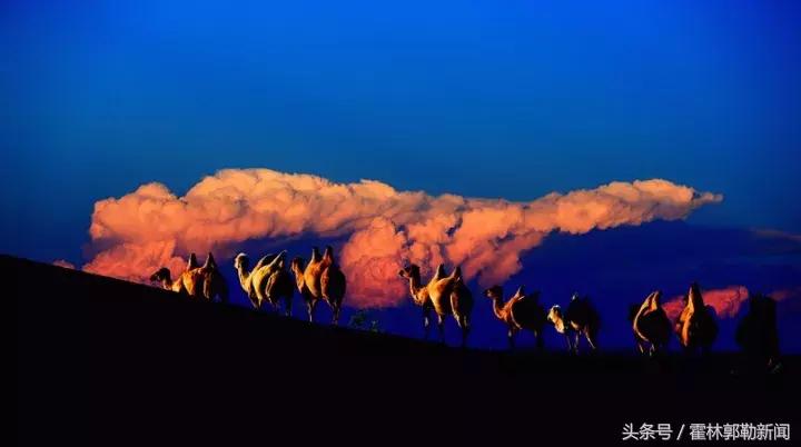 霍林郭勒新闻发布会,霍林郭勒一周新闻