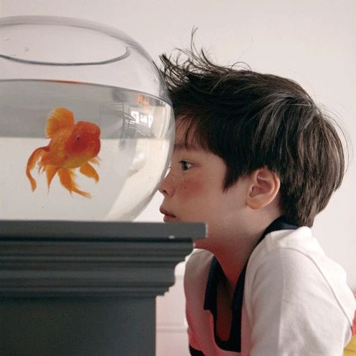 儿童节礼物送手机,儿童节送孩子什么礼物