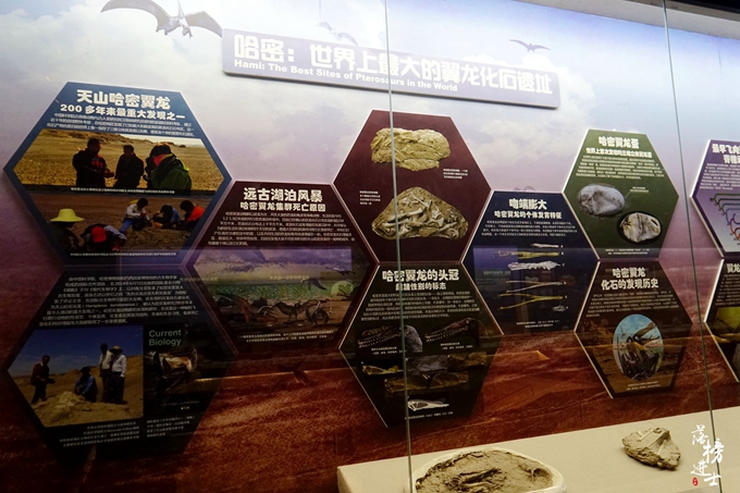 哈密市博物馆里的干尸长什么样,哈密博物馆的历史背景