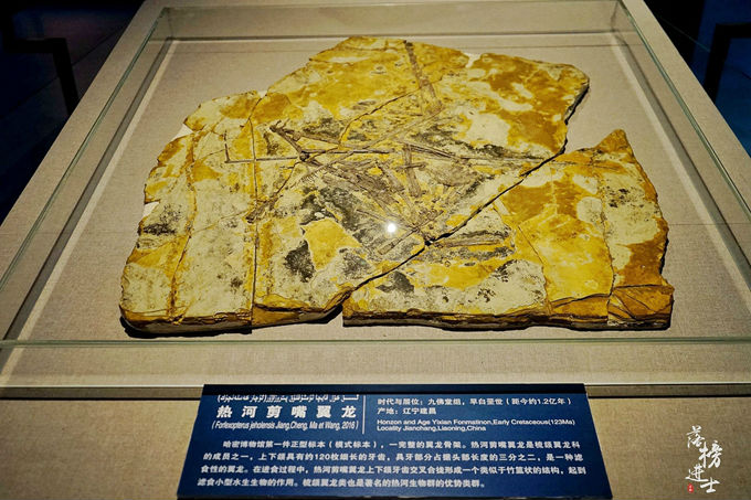 哈密市博物馆里的干尸长什么样,哈密博物馆的历史背景