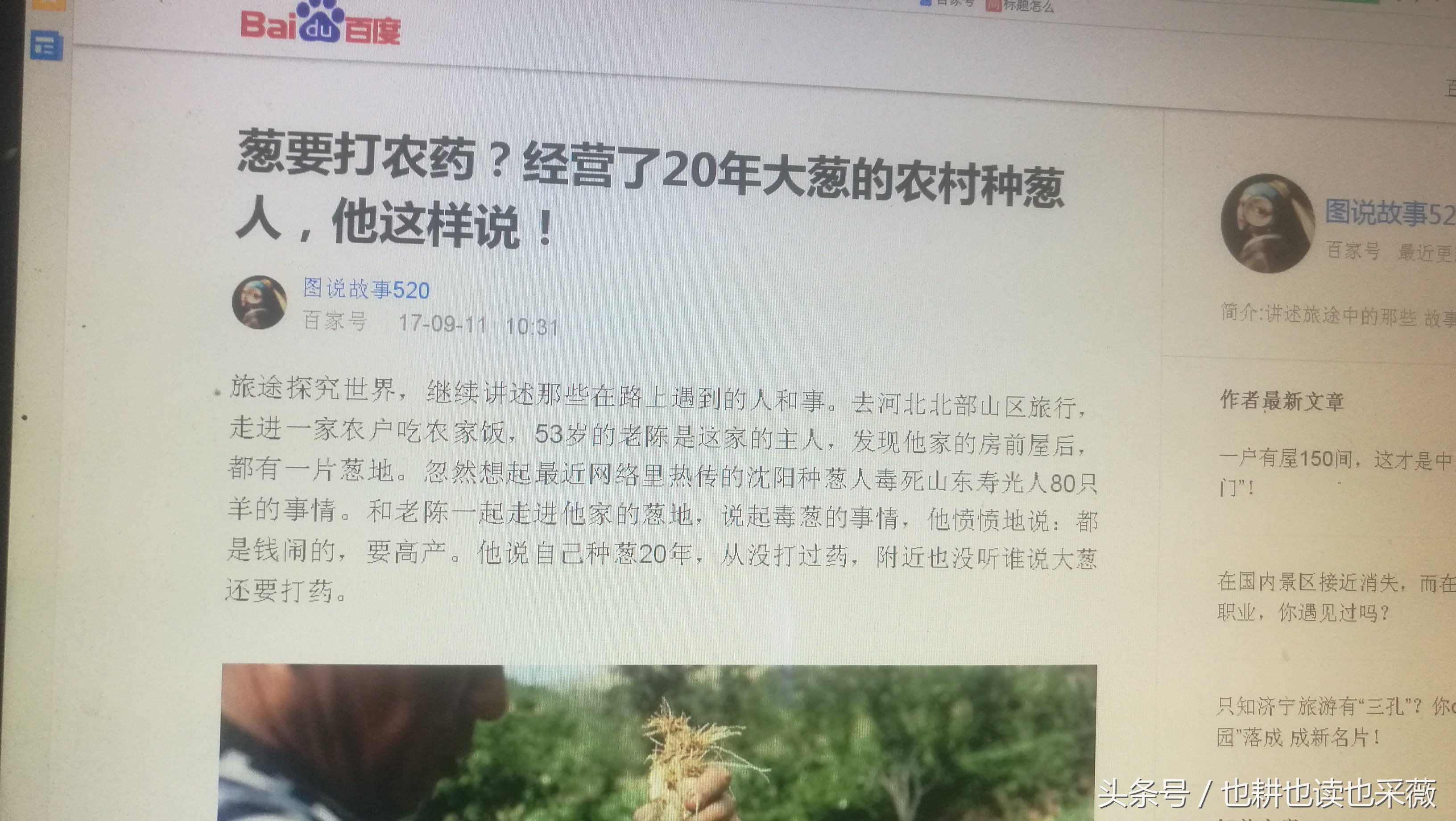 洛阳民生：远离毒大葱，你离自种无公害小香葱可能只差五块钱！