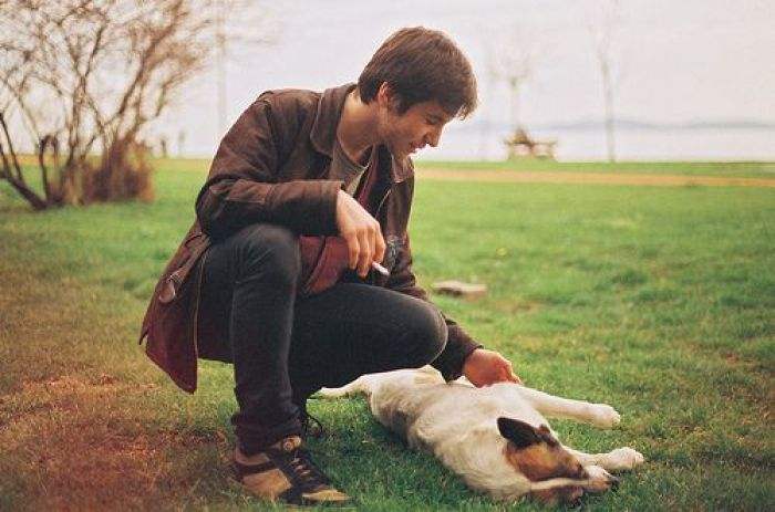 训练狗狗不乱咬东西教程,狗狗随意在家里大小便怎么训练