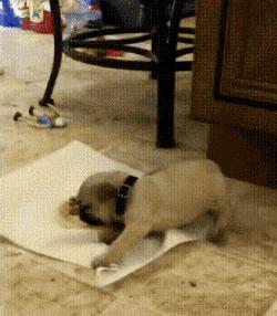 撩完就想跑原版视频,撩完就想跑后续