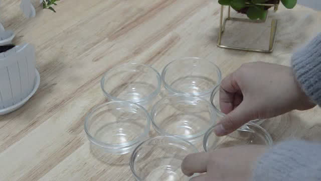 钵仔糕怎样才能看起来晶莹剔透,教你做钵仔糕