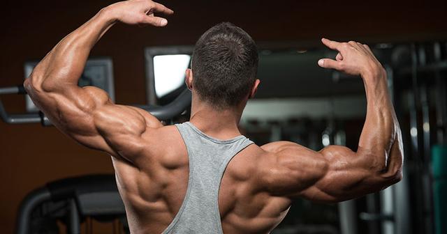 新手健身增肌应该怎么练好,健身新手想增肌开始怎么练