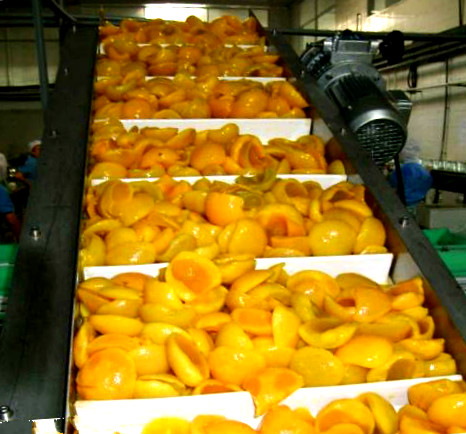 罐头行业的营销环境,罐头行业国内外发展现状和优势