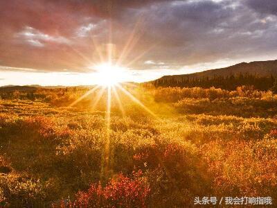 周公解梦梦见最新消息,周公解梦梦到你赶着回家好吗