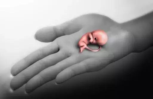 怀孕六个月了突然出血血管破裂,怀孕6个多月突然流产什么原因