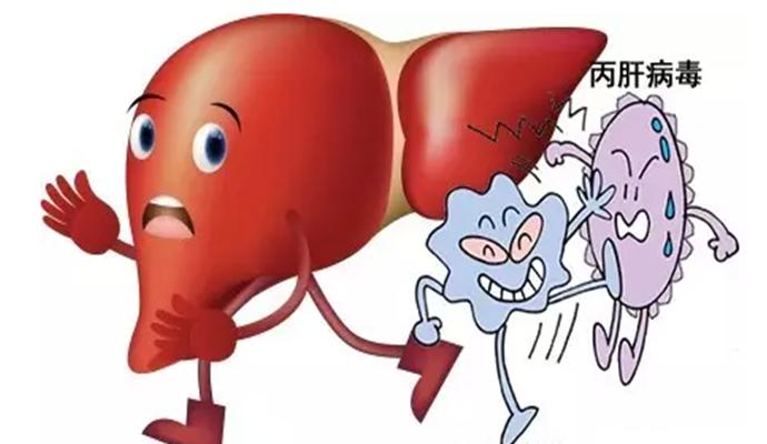 丙肝一般的接触会不会传染,丙肝会不会传染给同事