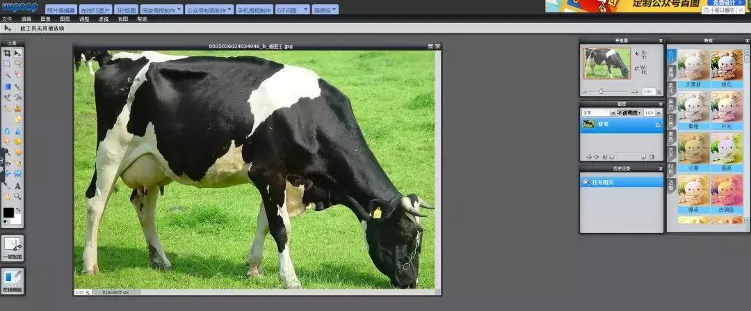 盘点一个既实用又好用的网站,这10个免费又实用的网站