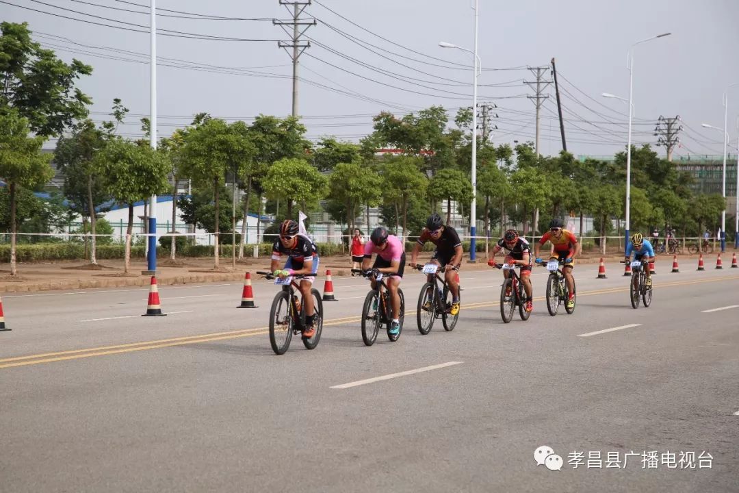 瀛熷畻鏁呴噷瀛濇槍,瀛濇槍姊﹂噷鑺卞洯