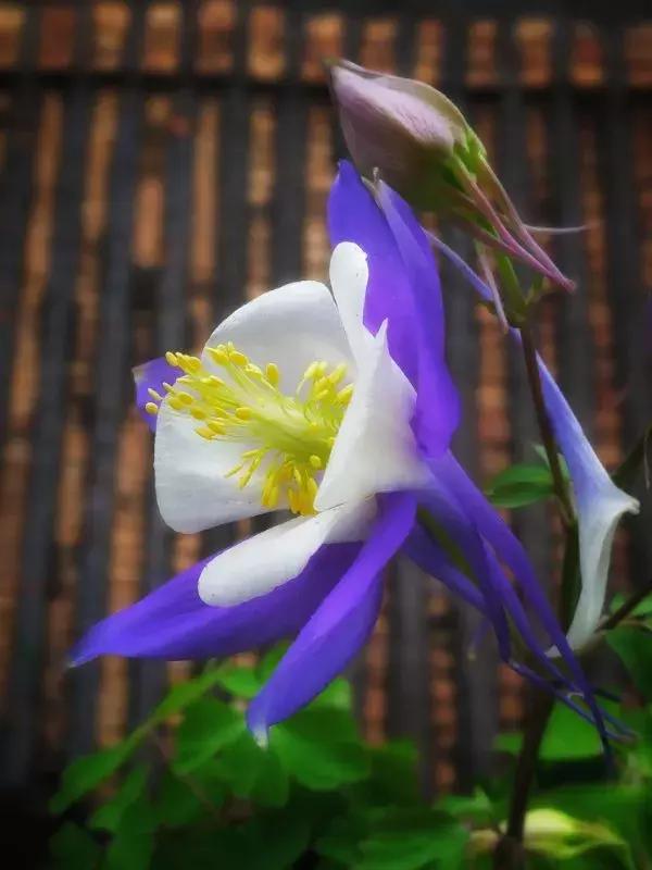 如何把照片拍得更好,你可以拍得更好的英文