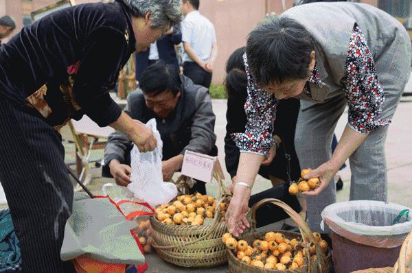 如皋这个地方种了一种神奇的树!树上会掉“金蛋”,“无涌”的人去“抢”!
