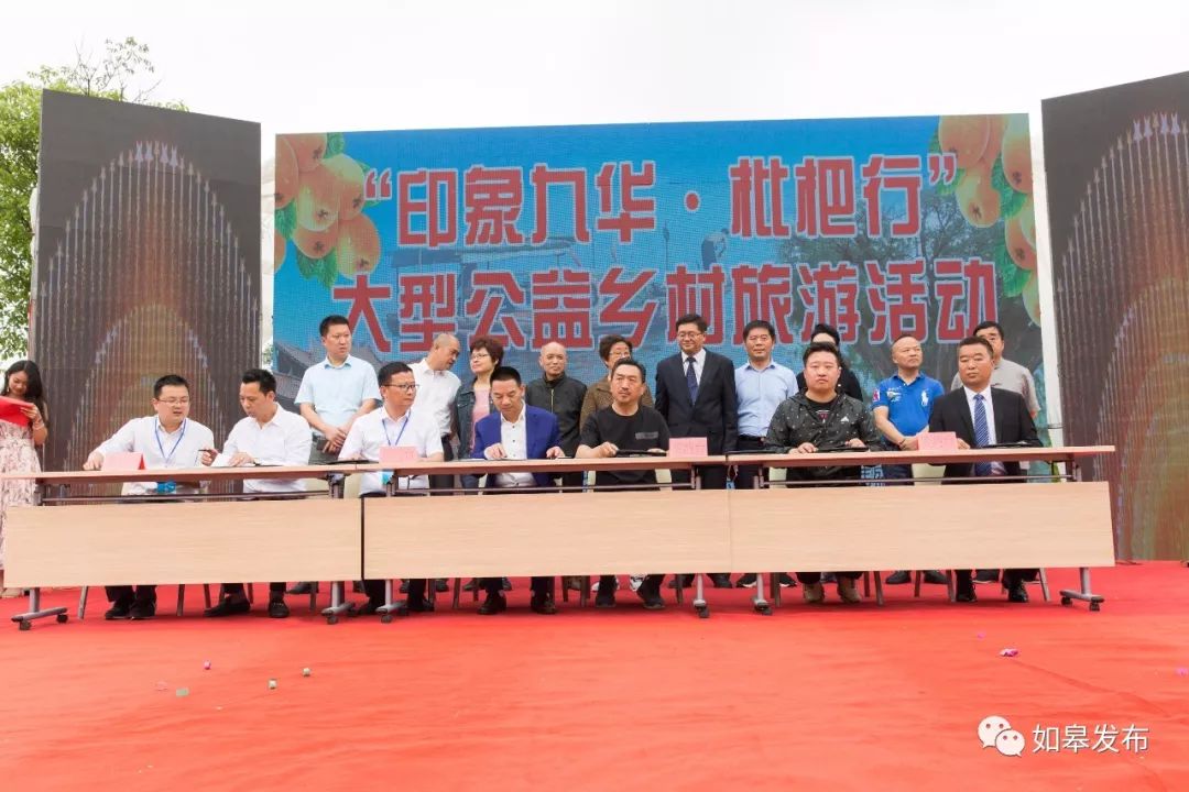 如皋这个地方种了一种神奇的树!树上会掉“金蛋”,“无涌”的人去“抢”!