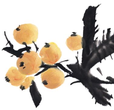 如皋这个地方种了一种神奇的树!树上会掉“金蛋”,“无涌”的人去“抢”!