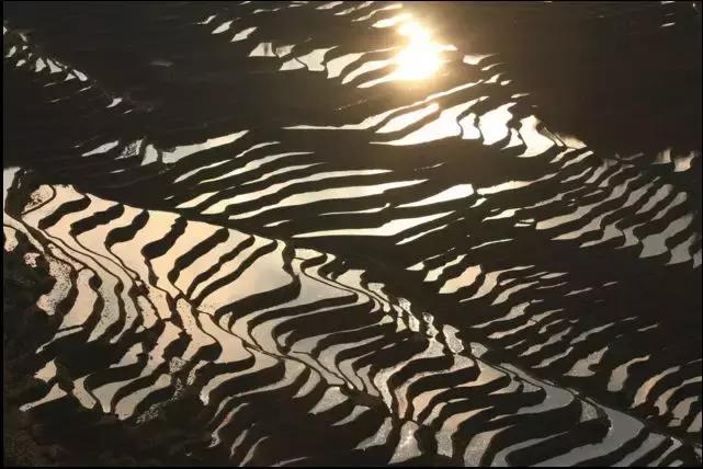 各个民族特色的菜,中国有什么特色菜