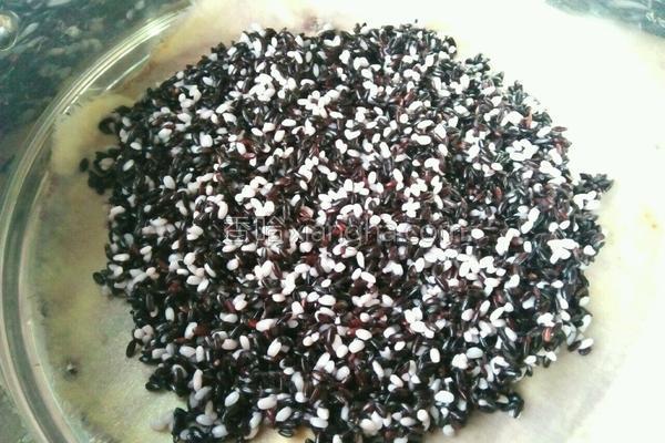 黑米做点心,用黑米粉做点心的做法大全