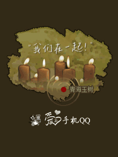 怀旧手机qq界面,塞班怀旧手机