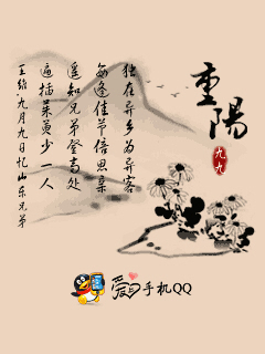 怀旧手机qq界面,塞班怀旧手机