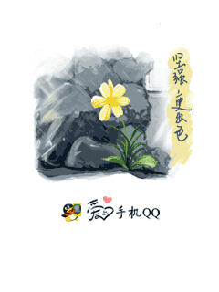 怀旧手机qq界面,塞班怀旧手机