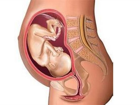 宝宝入盆孕妈有什么反应,宝宝入盆后妈妈该注意些什么