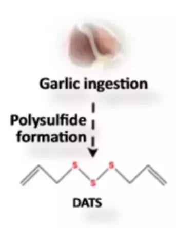 大蒜硫化物如何去除,大蒜里含的硫化物是什么