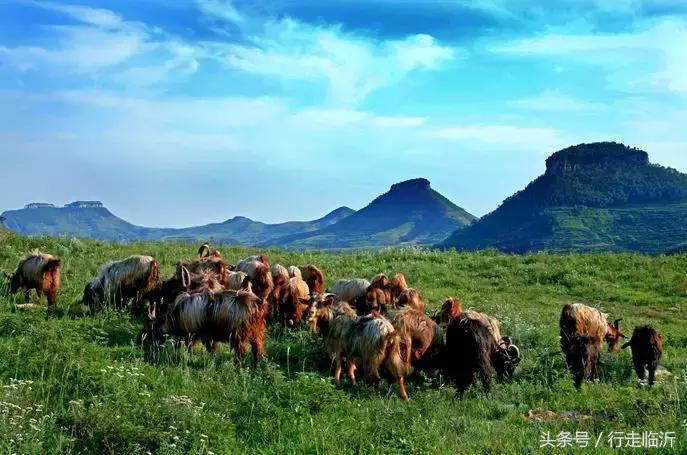 你有多久没看到过的彩虹,你在晚上见过彩虹吗