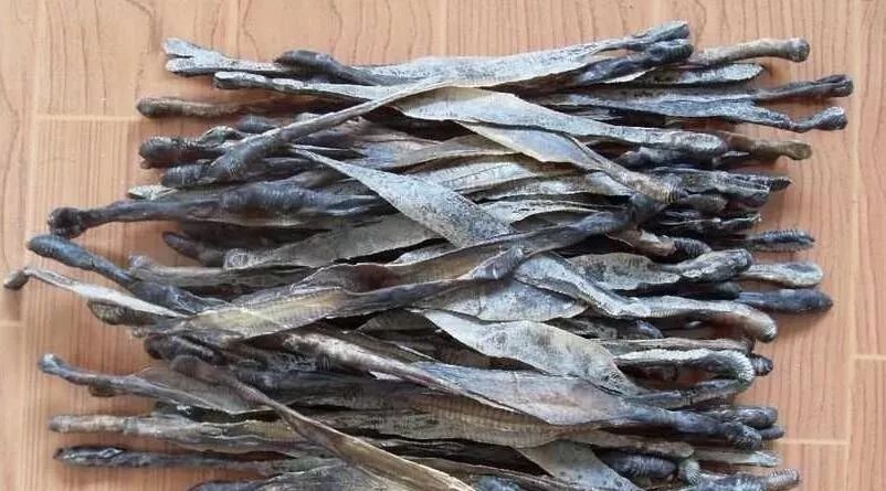 中医很神奇几味草药能治病,中医里的黑科技