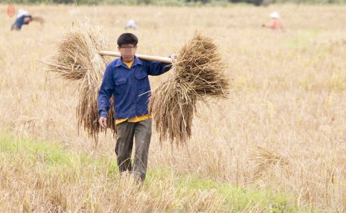 父母地里干活，孩子在家玩手机，邻居：穷人家养了个“富家女”