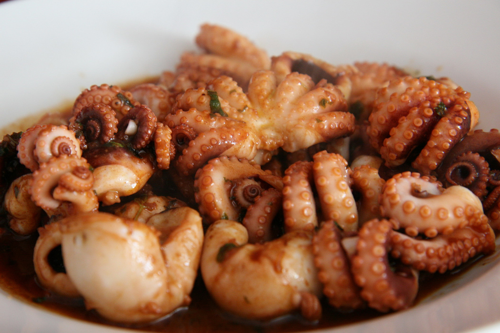 章鱼和乌贼墨鱼有什么区别,章鱼鱿鱼墨鱼乌贼是同一科吗