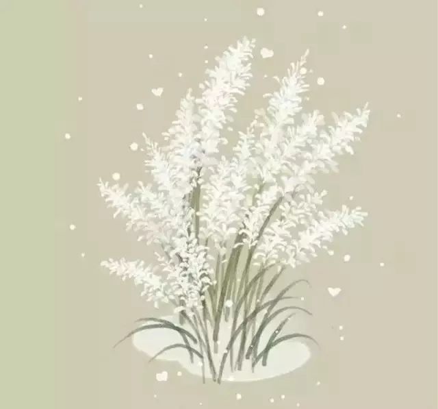 高考满分的作文卖米,北大一等奖作文