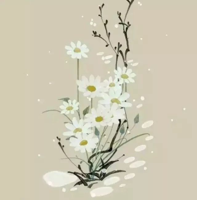 高考满分的作文卖米,北大一等奖作文