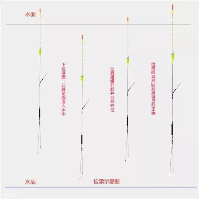 悬坠钓鱼调漂视频教程,史上最简单的调漂方法
