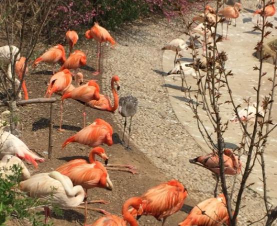 大连旅游攻略必去景点,大连一日游必去十大景点