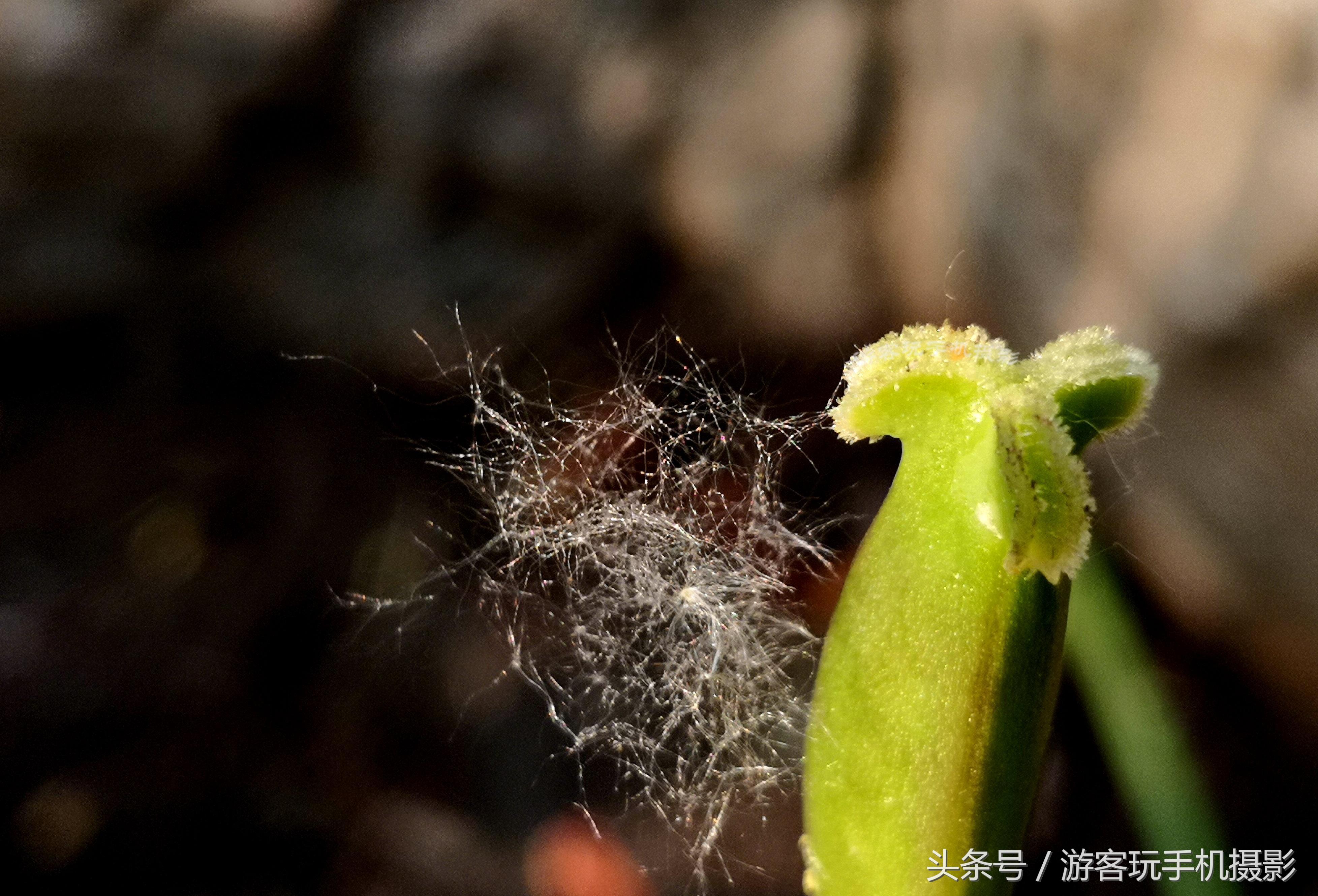 dysonpure空气净化风扇,dyson空气净化器电风扇