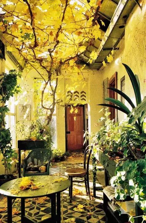 庭院铺地石材料大全,济南庭院铺地红砂岩石材