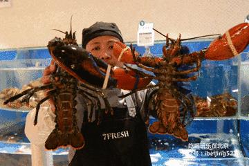 北京最大的进口超市,北京最新进口超市在哪里