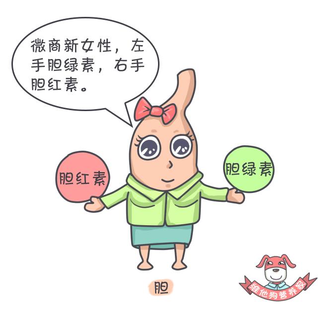 好便便or坏便便儿科医生教你区分,这些肠道知识你知道吗