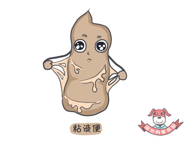 好便便or坏便便儿科医生教你区分,这些肠道知识你知道吗