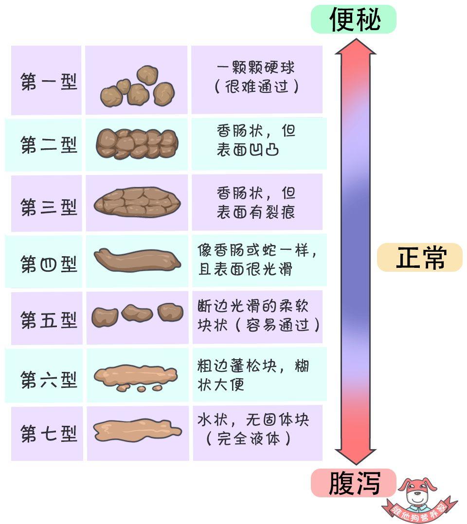 好便便or坏便便儿科医生教你区分,这些肠道知识你知道吗