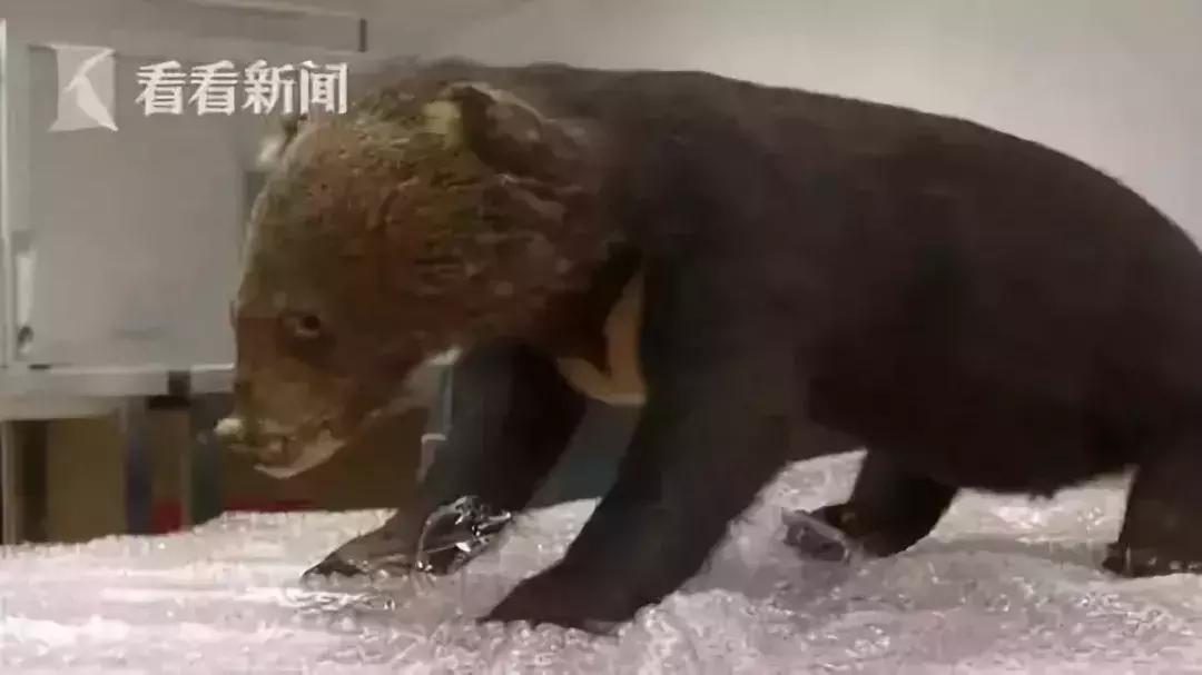 代购骗局朋友圈,代购究竟有多暴利