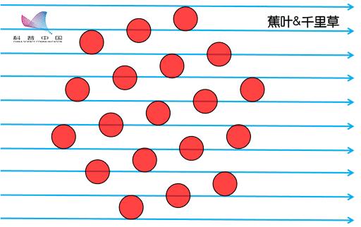FAST望远镜的“分身术”!19波束接收机加速天文观测