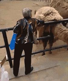 一元坐头等舱，百元住五星酒店，“羊毛*党**”究竟是怎样的一群人