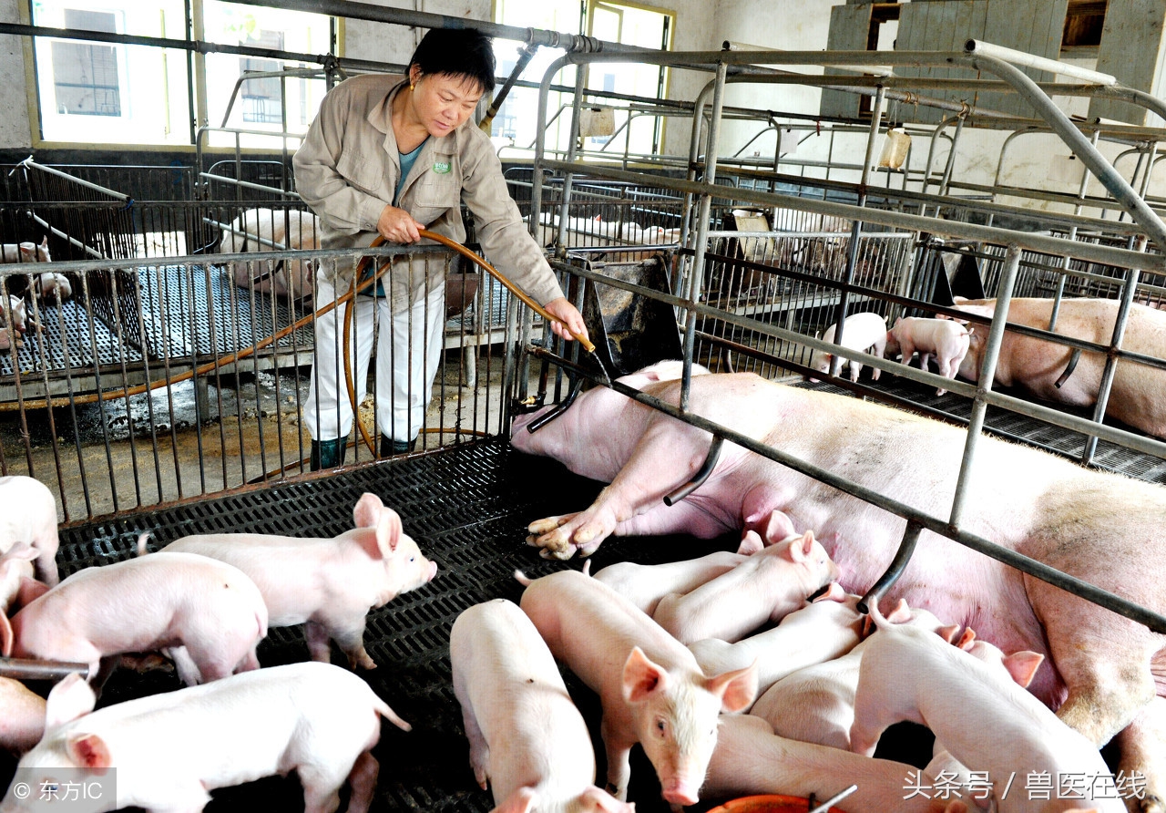 拨开迷雾见天日,拨开迷雾特效