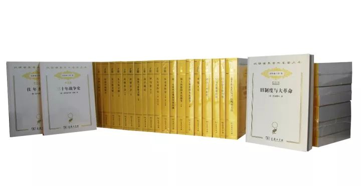 双11购车手册,双十一买书架