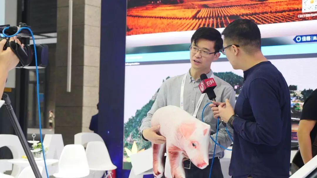 人工智能与农林大数据,人工智能大数据科技