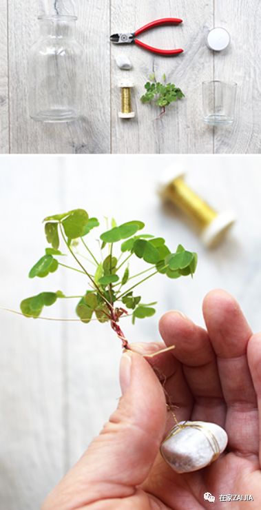 新手在家学花艺师,网红花艺师